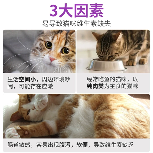 Shouchu Cat Multi -Dimensional Tablet Cat Выделенные композитные витаминные таблетки ПЭТ КРИЦОВ КРЕМЕНТ КРИЦЕ КРЕСТОВЫЙ МОС