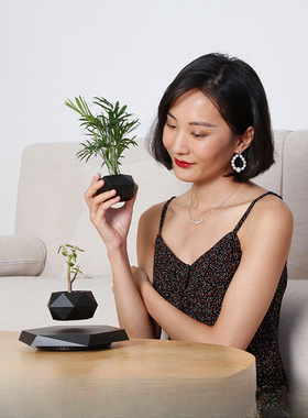 跨境磁悬浮盆栽花创意盆景植物负离子净化器进化空气家居办公