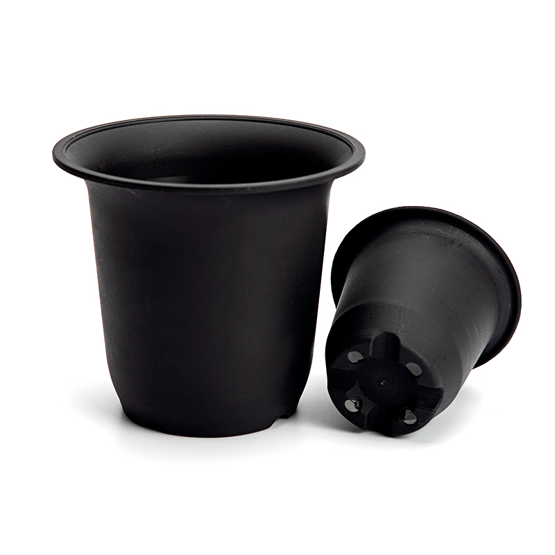 同根生多肉花盆万象盆矮胖型大中小黑万象塑料盆磨砂盆多肉白万象,淘宝优惠券,粉丝福利购,淘宝优惠卷