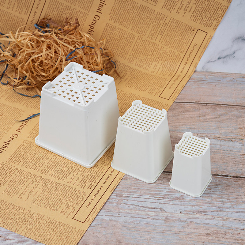 多肉花盆迷你小白方花盆塑料小黑方景天7方盆加厚拇指盆小号高盆,淘宝优惠券,粉丝福利购,淘宝优惠卷