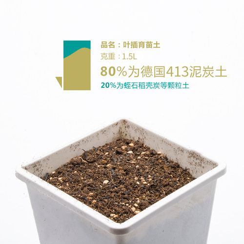 同根生 多肉植物颗粒土 赤玉土 铺面 铺底 混土种植麦饭石 - 图3