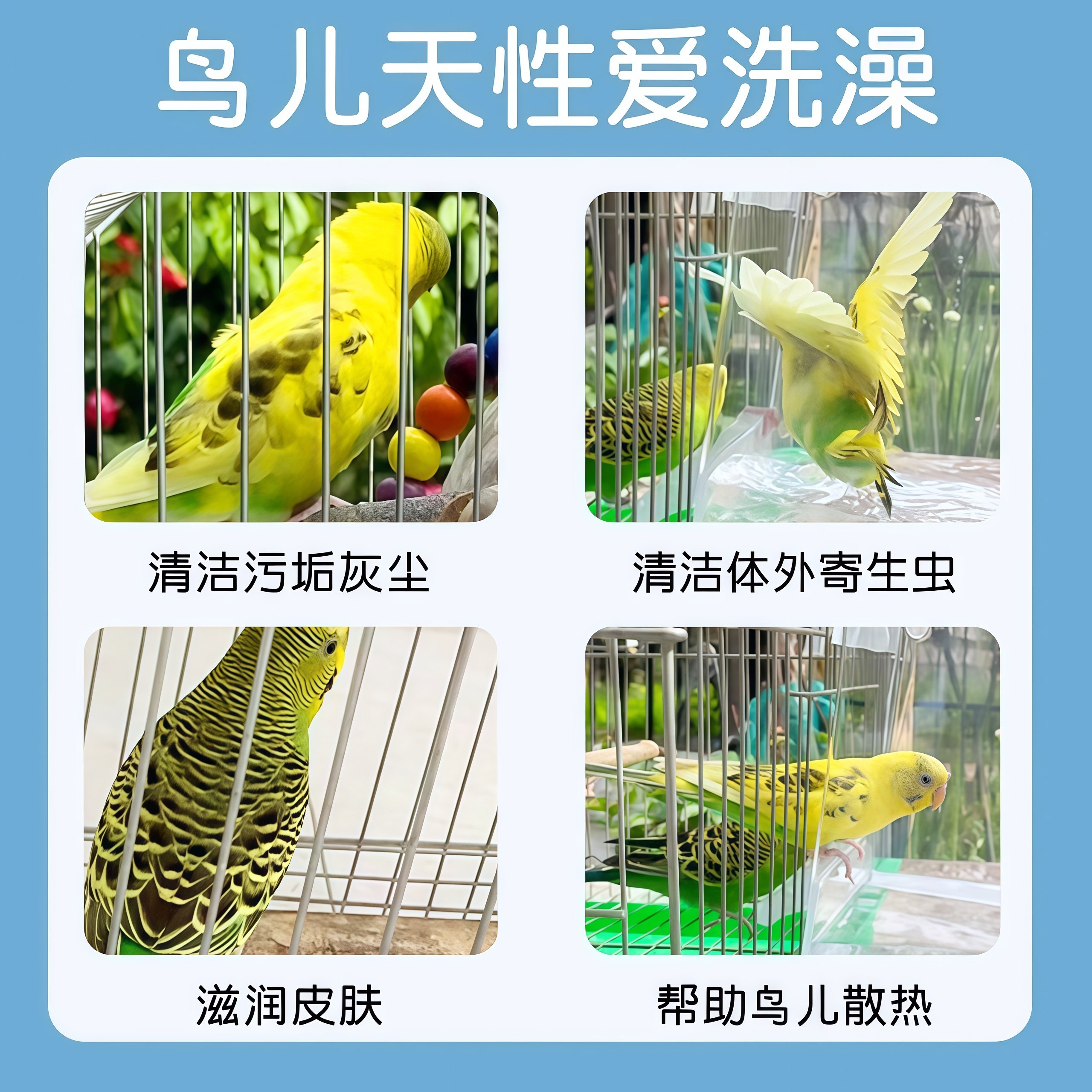 鹦鹉洗澡盆玄凤虎皮小鸟专用沐浴澡盆大号洗澡盒神器玩具用品大全,淘宝优惠券,粉丝福利购,淘宝优惠卷