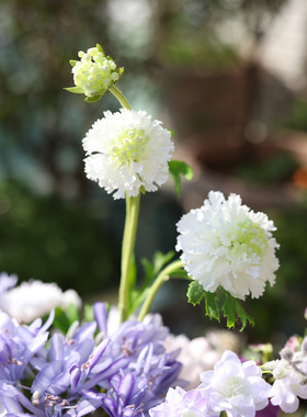 高品质仿真花艺术插花样板房