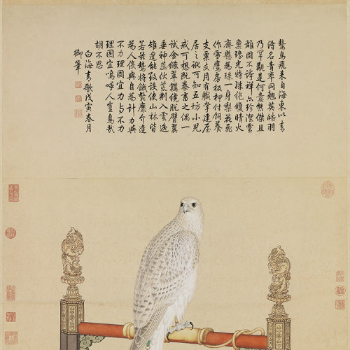 清 郎世宁 画白海青 真迹复制品37x77cm台北故宫藏清代画院花鸟画 - 图0