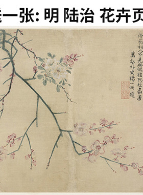 0名画张舜雪界柏鹰北京故宫花鸟