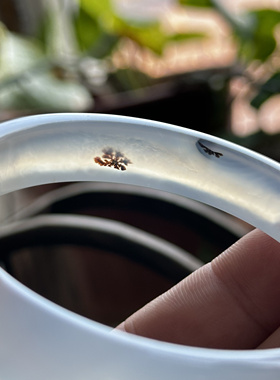 云臻阁天然海洋玉髓草花大花意境清新马料白冰小草冰透玛瑙手镯60