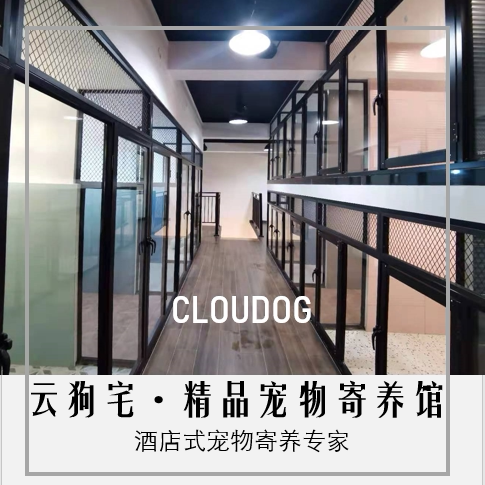 上海宠物狗狗寄养独院草地24小时监控全市接送长期养老旅游 - 图2
