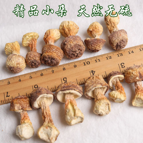 云南干姬松茸松茸菌菇干货正品官方旗舰店鸡松茸巴西蘑菇非特级 - 图1