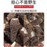 Zhongduo 50 г Юньнань, специальный сморчок, галантерея, флагманский магазин диких сморчков, ручка для стрижки первого урожая