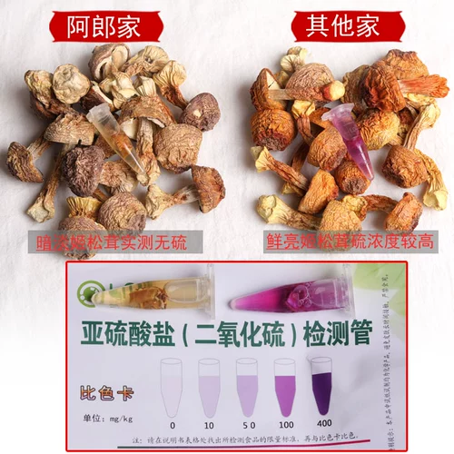 Yunnan specialty Agaricus dried goods grade official flagship store chicken Matsutake Matsutake Matsutake Matsutake Matsutake Matsutake Matsutake Matsutake Matsutake Matsutake Matsutake Matsutake Matsutake Matsutake Matsutake Matsutake Matsutake Matsutake Matsutake Matsutake Matsutake Matsutake Matsutake Matsutake Matsutake Mushroom