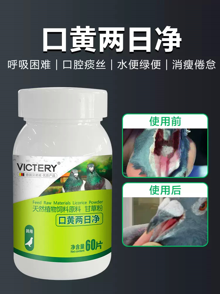 汉诺威口黄两日净毛滴虫咽喉口腔白点粘液呼吸困难痰丝非鸽药信鸽 - 图0