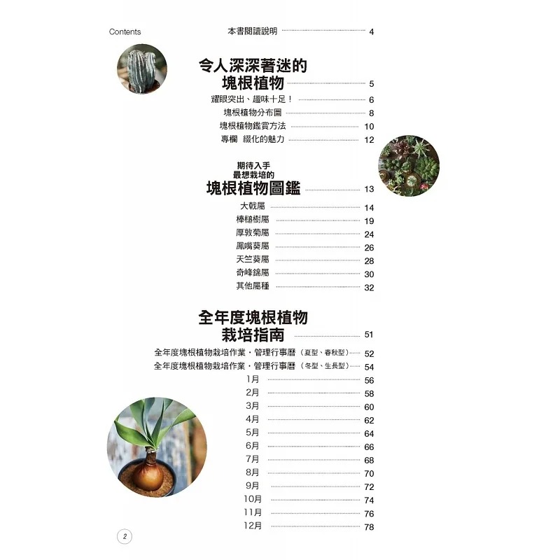 在途 全年度块根植物栽培基础书 喷泉文化馆 长田研 - 图0