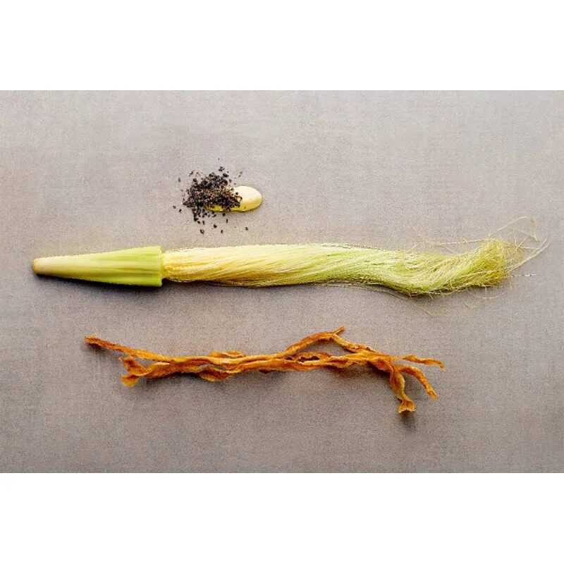 现货 八角哲学 上海米其林指南红色餐厅名厨江振诚 港台美食菜单全彩图 美食菜单天下杂志江振诚 原版进口书 心理励志