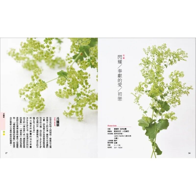 预售 宇田川佳子(监修) 日常花事图鉴:常见200种花卉,从选择、知识到花语的liao愈系手帖 墨刻 生活风格