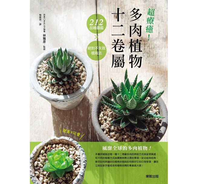 预售 超疗愈！多肉植物十二卷属212品种图鉴×不失败植栽法 原版进口书 生活风格 - 图1