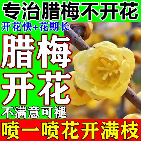 腊梅开花专用肥料腊梅促花催花延花期家用盆栽梅花植物营养液肥料,淘宝优惠券,粉丝福利购,淘宝优惠卷