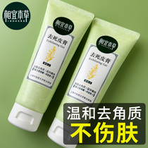 Phase Imoto Grass to Death Skin Cream Gently keratinocytes Facial Women Mens Face Deep Clean Pores Gel