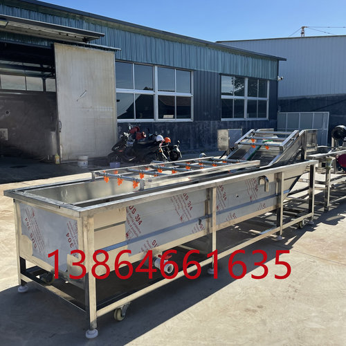 竹笋气泡清洗机 多功能气泡清洗 蔬菜水果农产品去污高效清洗定金 - 图0