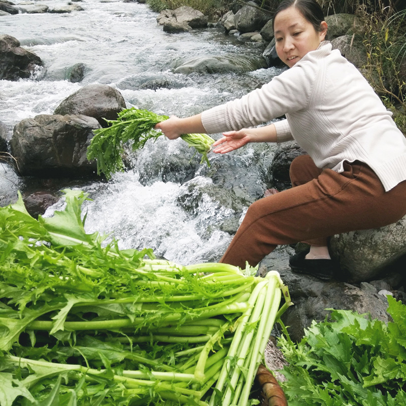 正宗浙江特产梅干菜干货浓香500g霉干菜绍兴扣肉梅菜下饭菜梅菜干-图2