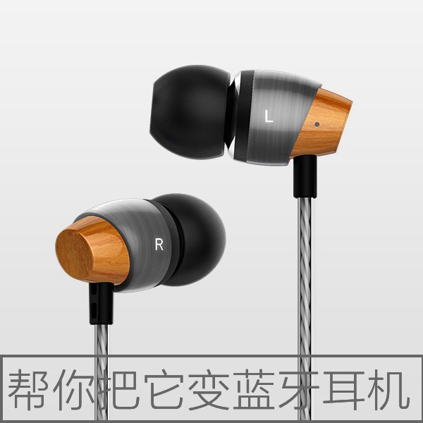 Astrotec/阿思翠 AM800迭代版流行女毒木头金属HiFi入耳式耳机 - 图0