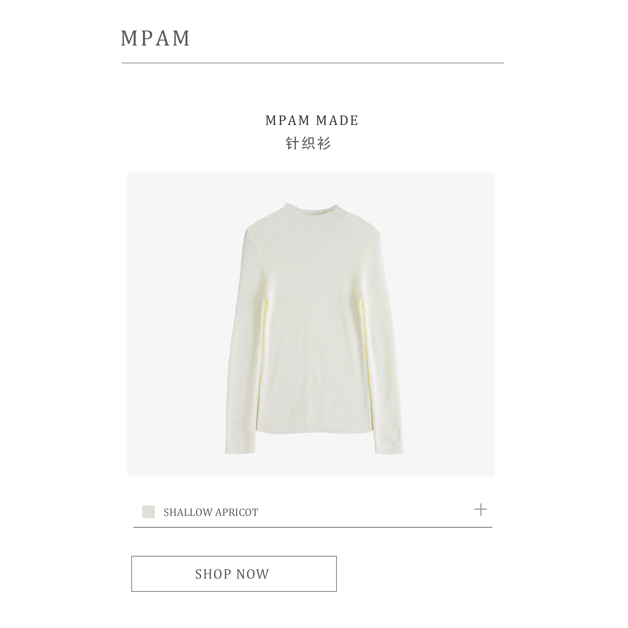 秋冬新款绵羊毛针织衫女时尚显瘦百搭纯色休闲打底圆领毛衫2025 - 图3