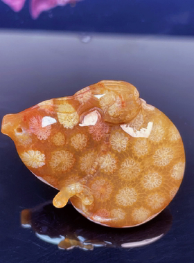 天然珊瑚玉吊坠橙红色小葫芦挂件