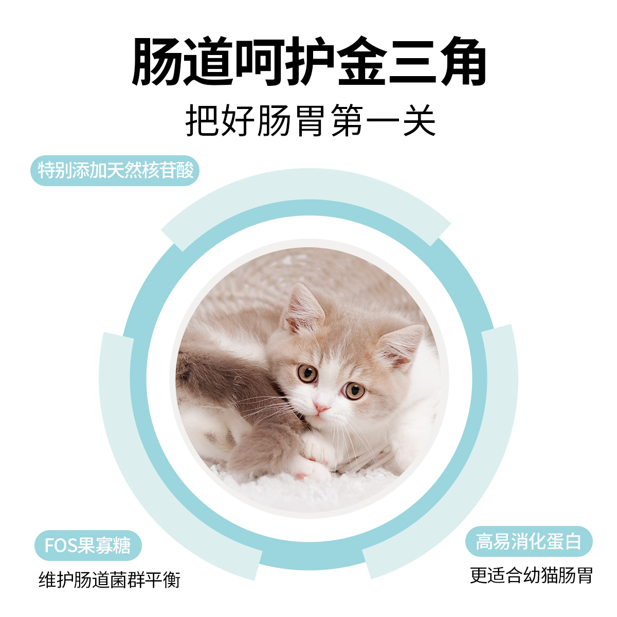 醇粹黑标系列猫粮纯粹幼猫猫奶糕幼猫粮幼猫专用1到3月4到12月 - 图0