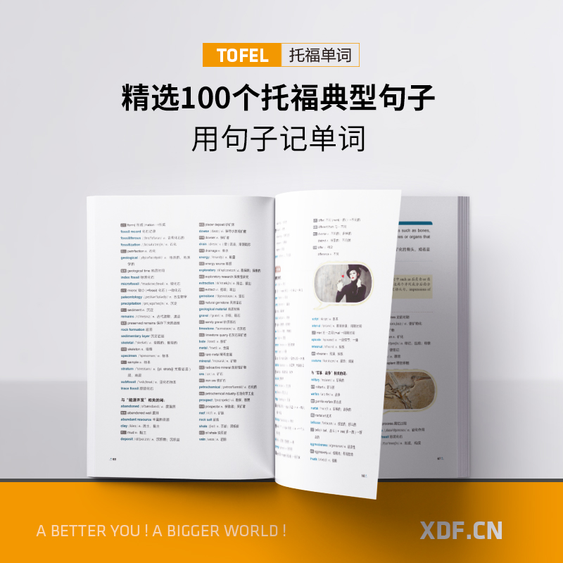 【新东方图书旗舰店】100个句子记完7000个托福单词 托福TOEFL考试单词词汇英语书籍 托福词汇乱序版 俞敏洪 网课 官网