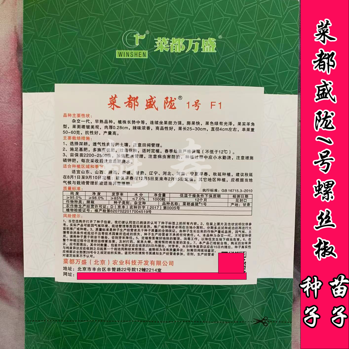 菜都盛拢1号螺丝椒辣椒苗高产香辣特大辣椒种籽螺丝椒薄皮 - 图0