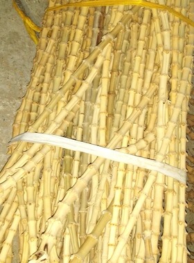 密节短节竹鞭竹根diy直径长抄网