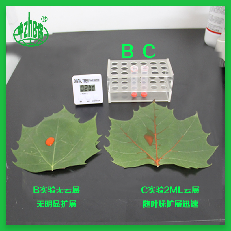 中保农药 增效助剂有机硅 增强农药利用率 作物病虫害药剂通用 - 图0