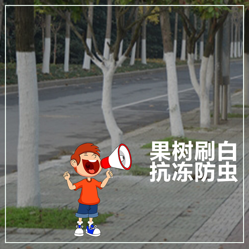 基得石硫合剂 晶体叶螨介壳虫白粉病果树螨果树农药杀虫杀菌剂