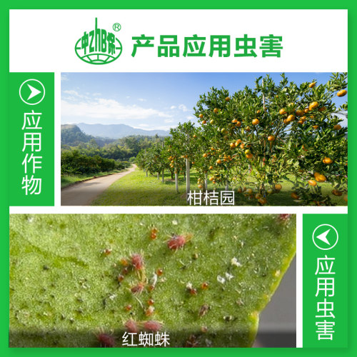 中保农药阿维菌素哒螨灵柑橘红蜘蛛专用药螨虫杀螨剂农药 - 图1