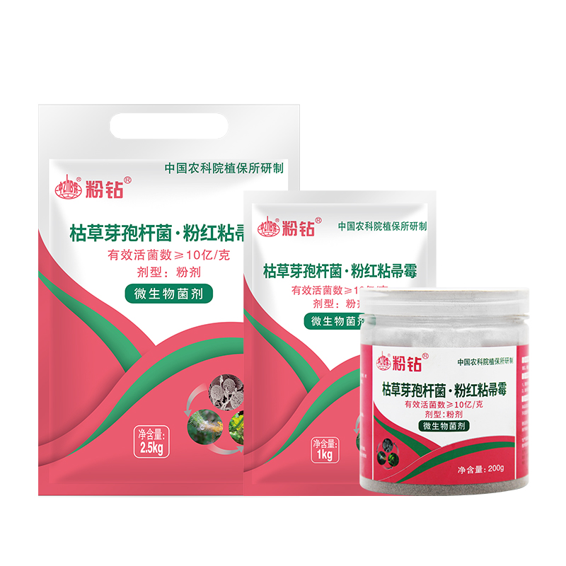 中保粉钻枯草芽孢杆菌粉红粘帚霉土壤改良生根壮苗促芽微生物菌剂 - 图3