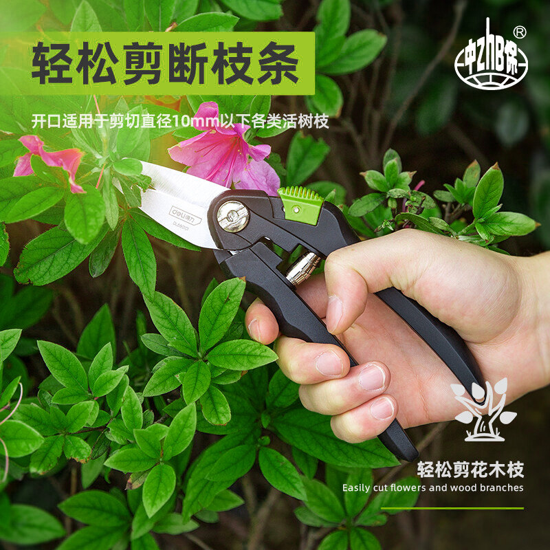 得力剪枝剪刀园林花艺修剪树枝剪刀果树剪刀粗大花剪园艺剪子工具,淘宝优惠券,粉丝福利购,淘宝优惠卷