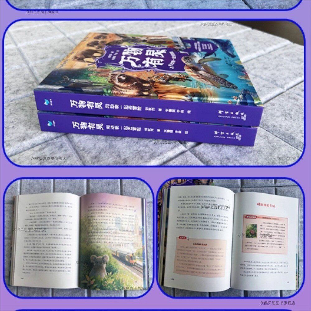 图5