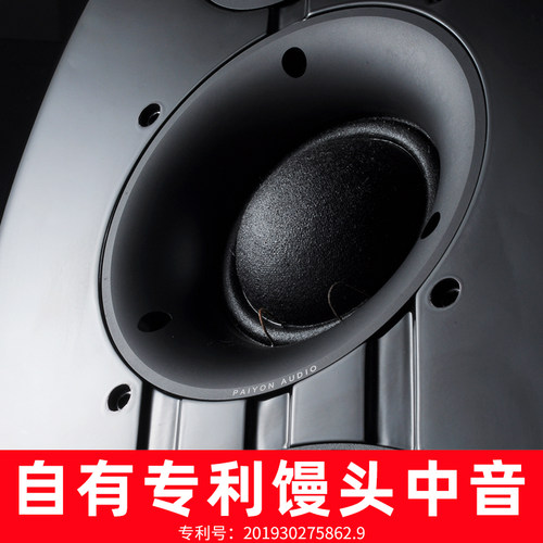 PAIYON/派扬惊蛰宫P82双八寸三分频大馒头高保真发烧hifi落地音箱 - 图0