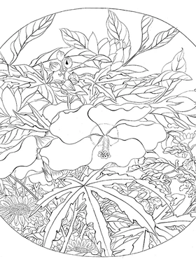 工笔画白描画稿素材宋小品花鸟人物山水线描A3高清实物40幅无彩图