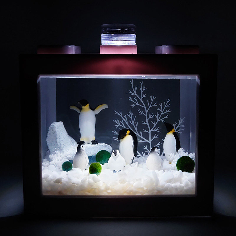 幸福海藻球marimo水培微景观生态瓶鱼缸创意桌面迷你植物DIY礼物,淘宝优惠券,粉丝福利购,淘宝优惠卷