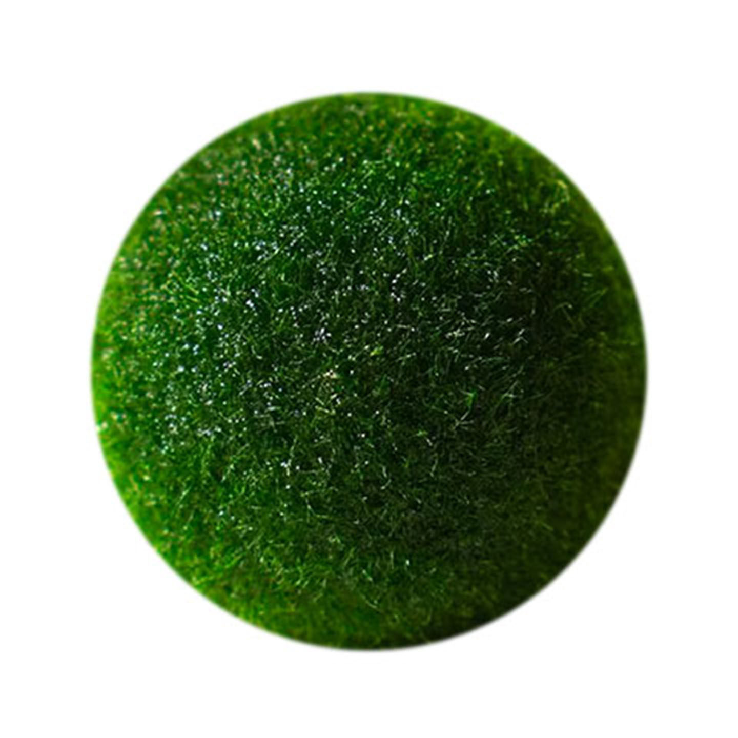 幸福海藻球marimo生态瓶盆栽创意迷你水培植物微景观缸藻球马里莫,淘宝优惠券,粉丝福利购,淘宝优惠卷