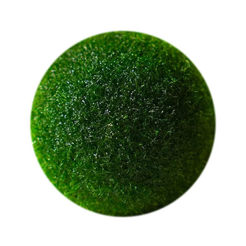 幸福海藻球marimo生态瓶盆栽创意迷你水培植物微景观缸藻球马里莫 - 图3