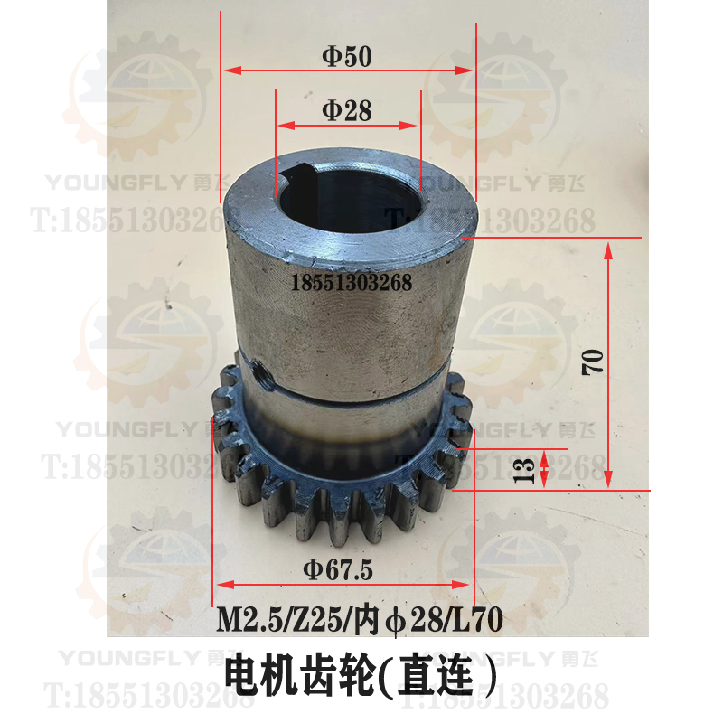 丹东金川 宁夏大河Z5140 Z150 Z5163立式钻床电机齿轮 联轴器总成 - 图2