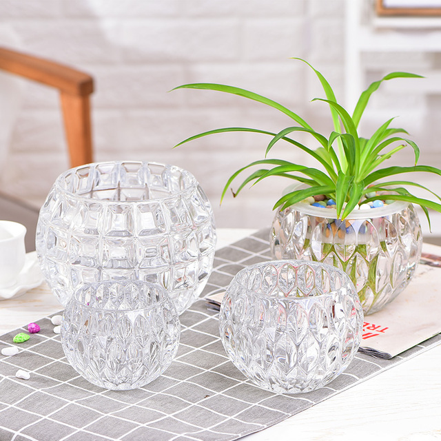 水养创意个性玻璃花盆水培植物玻璃瓶透明容器桌面绿萝多功能花瓶鲜花速递 花卉仿真 绿植园艺 顺德人人网