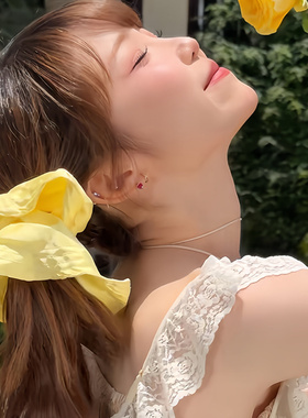 阳光明媚~夏日奶黄色大肠发圈女2026年新款高级感扎马尾头绳发饰