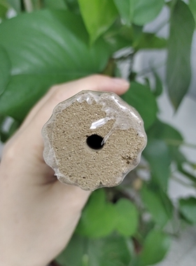 沉香灸艾条香灸条温灸三伏灸