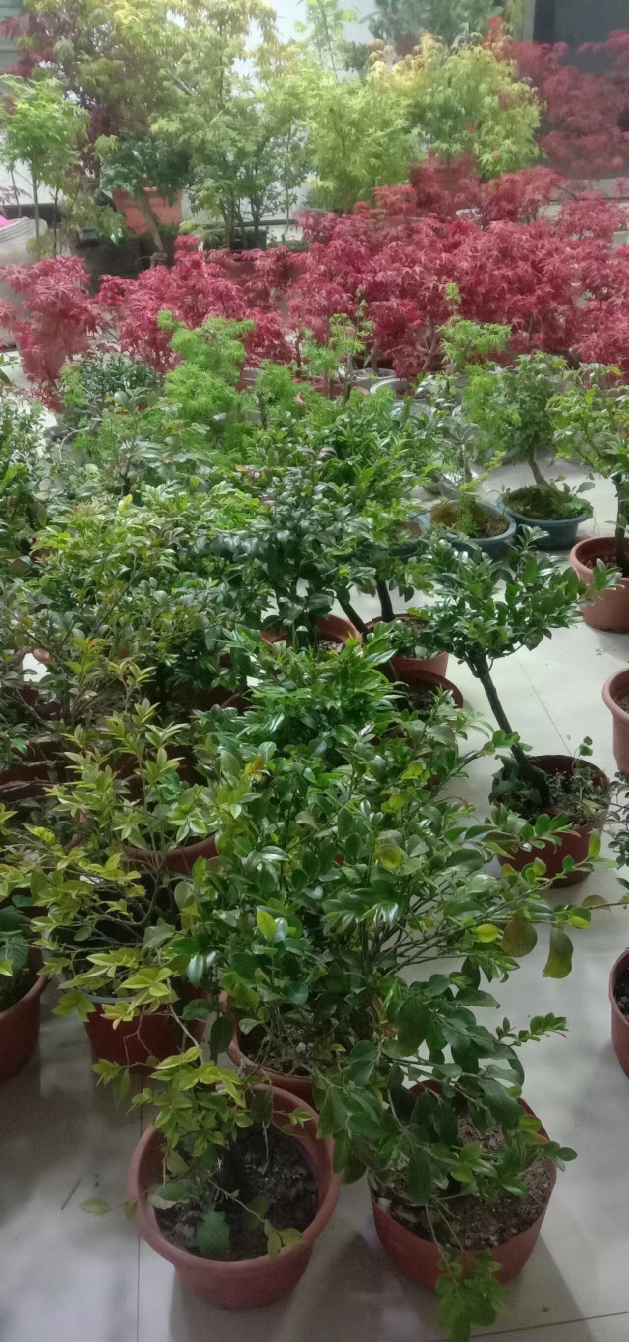 直播间    一物一拍链接   不喜欢慎拍,淘宝优惠券,粉丝福利购,淘宝优惠卷