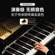 Alko electronic keyboard lights up and plays
