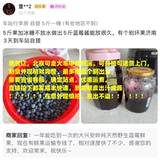 25 лет новых продуктов Daxinganling Wild Blueberry Fruit 500G Persimmon Fruit без дополнений. Варить варенье и сделать сок. Бесплатная доставка