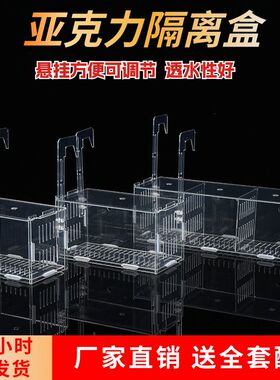 鱼缸水培植物固定架壁挂