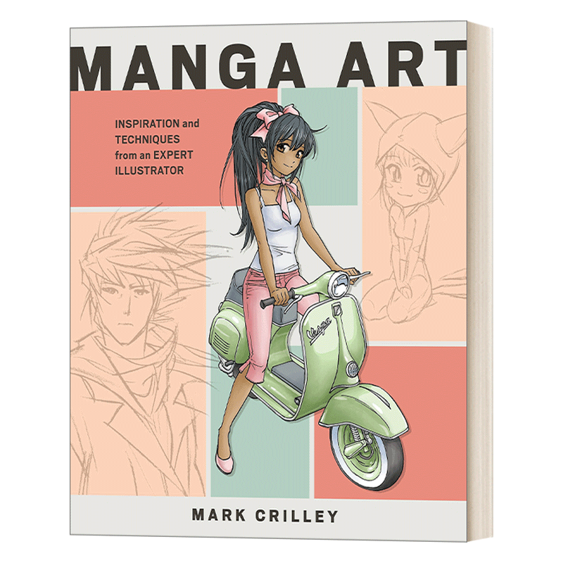英文原版 漫画艺术 来自专业插画家的灵感和技巧 美国著名漫画家 英文版 进口英语原版书籍